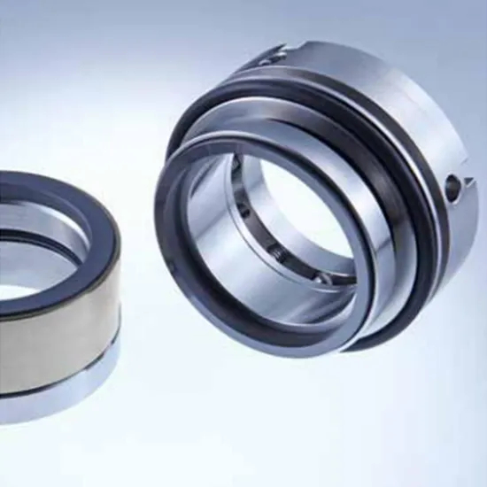 22 EK700 Mechanical Seals for Pumps Pusher Seals