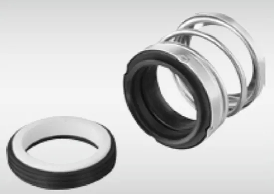 WG 21 Elastomer Bellow Mechaanical Seals for Pumps