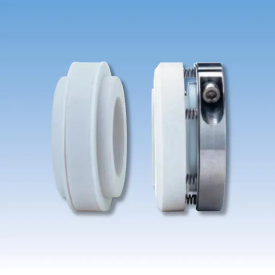 91TS PB29 Elastomer Bellow Mechanical Seals for Pumps