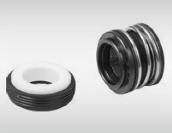 WG 60 Elastomer Bellow Mechanical Seals for Pumps