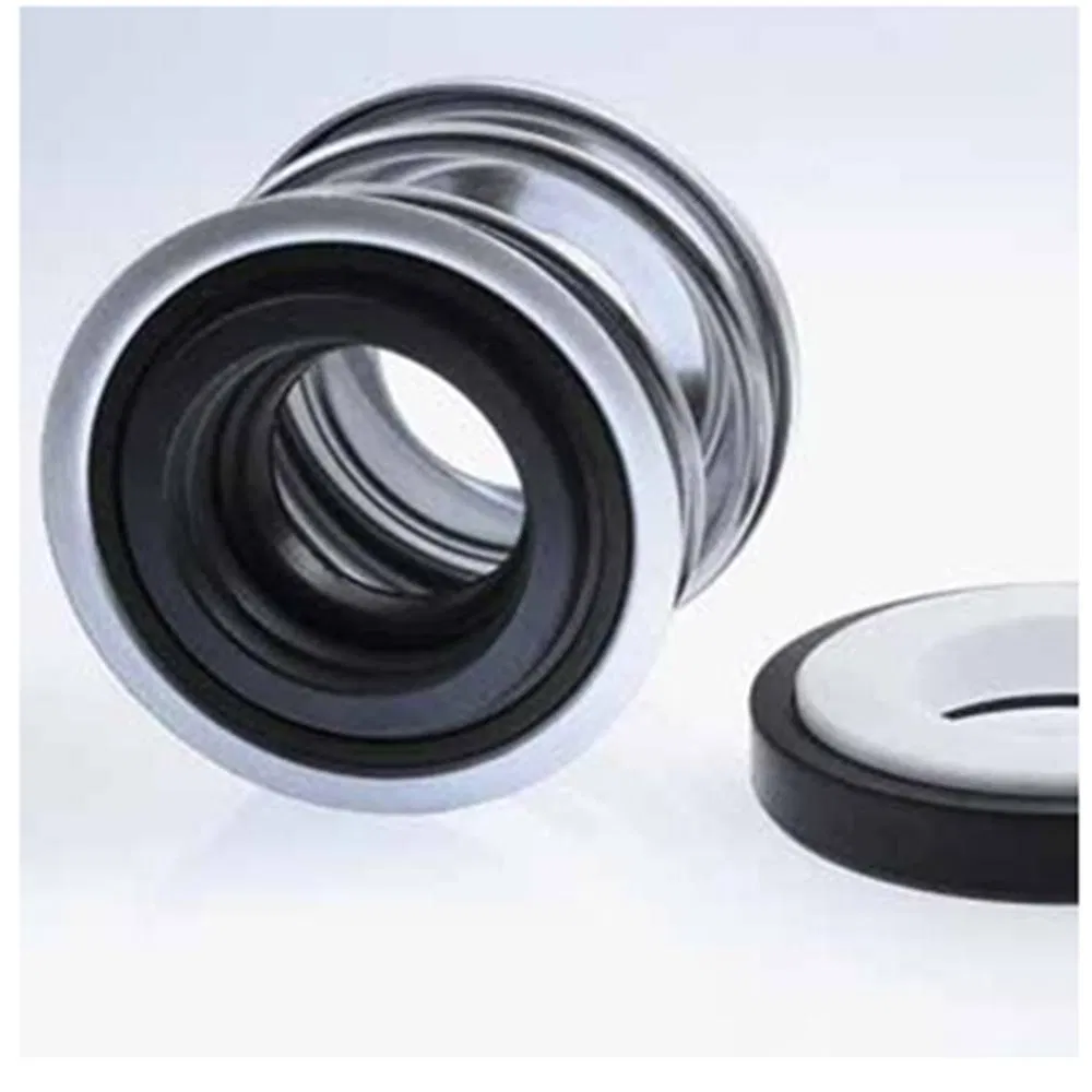 69 BT-PN Mechanical Seals for Pumps Pusher Seals