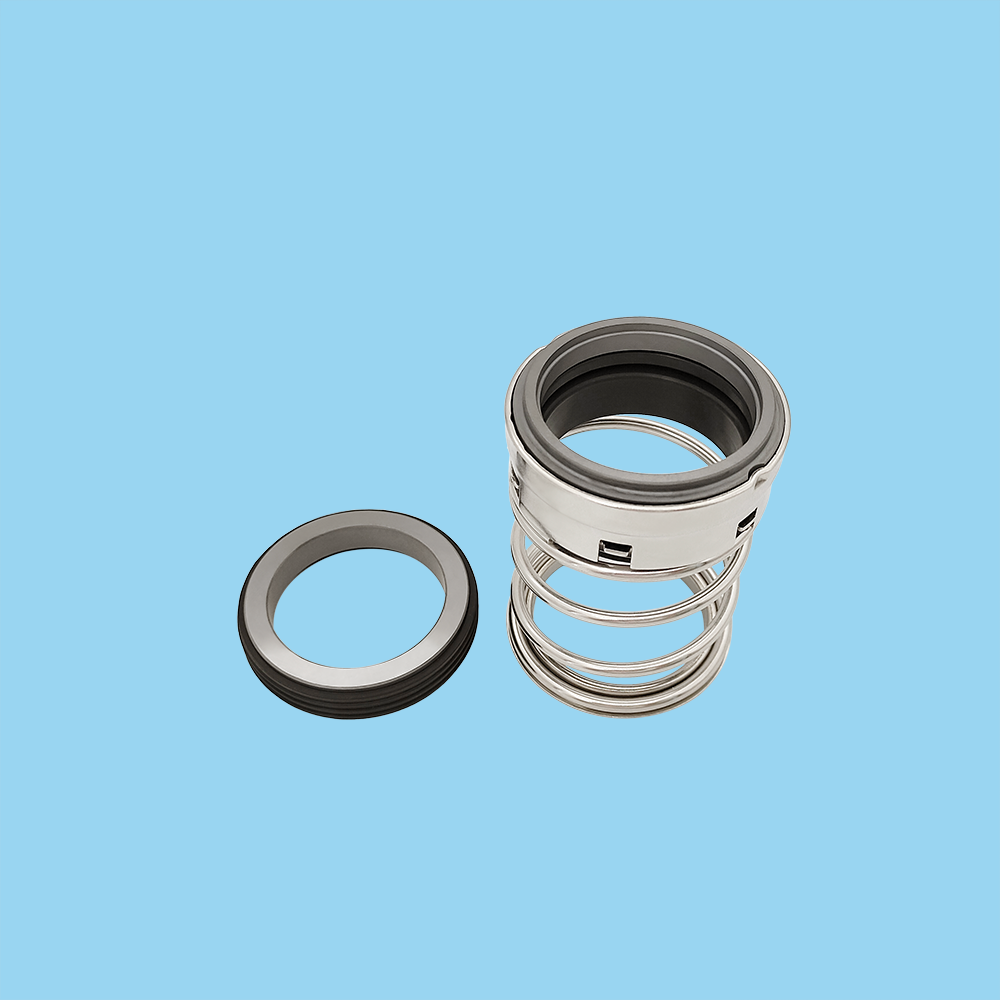 TS 1 Mechanical Seals for Pumps Pusher Seals