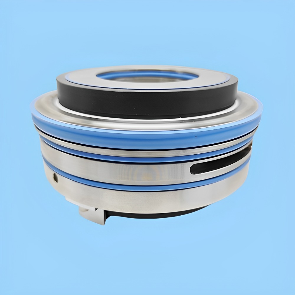 Special Custom Cartridge Mechanical Seal SIC/SIC/VIT/304 for Reactor