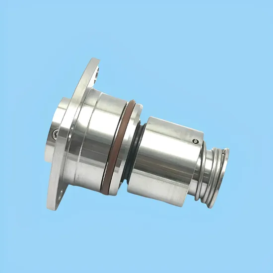 High Quality Mechanical Seal for Water Pump Ebara EVMS EVMSG Series Pumps SIC/SIC/V/SS304