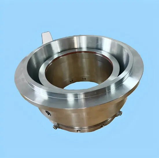 Mechanical Seal for Seepex Pump BN300-6L
