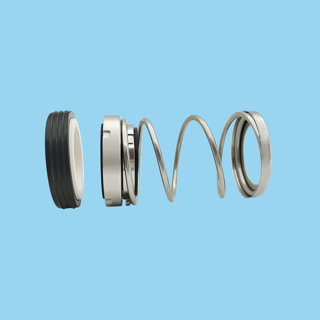 TS 100 Mechanical Seals for Pumps Pusher Seals