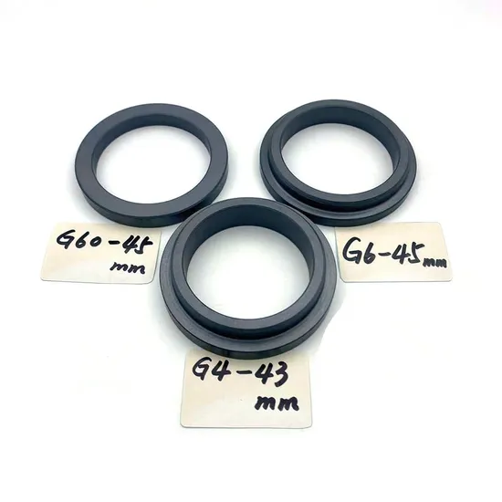 118TS PS06 Mechanical Seals for Sanitary Pumps