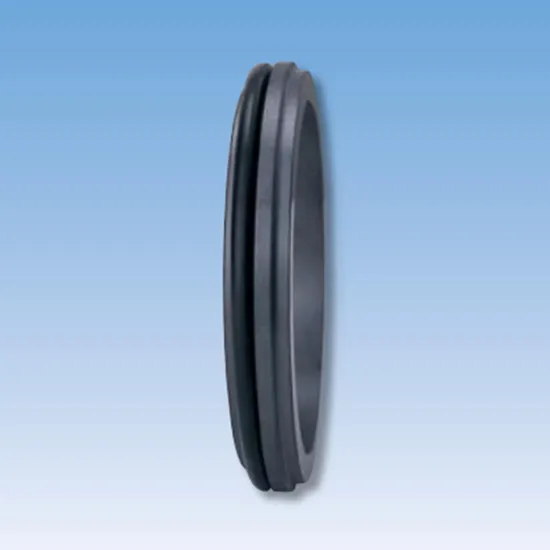 26TS C10 Mechanical Seals Seat Series for Pumps