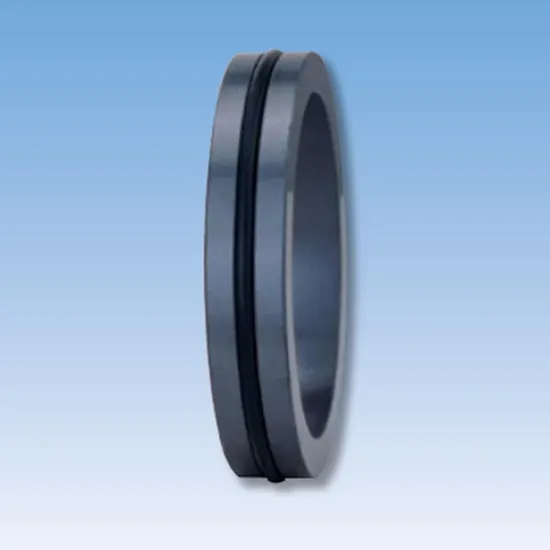 35TS C21 Mechanical Seals Seat Series for Pumps