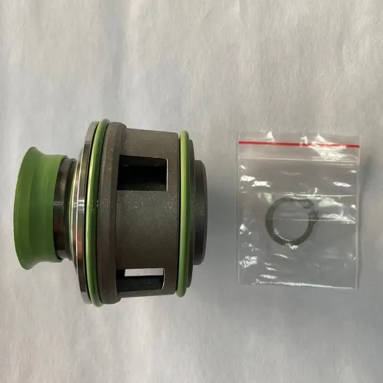 FS Mechanical Seals for Chemical Pumps