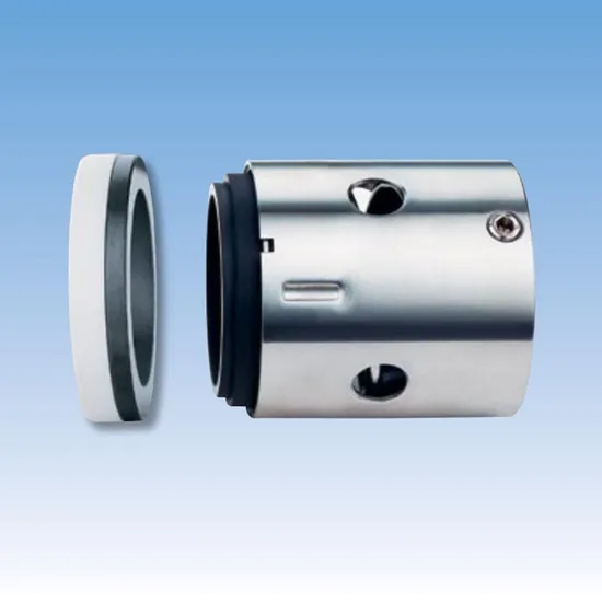 99TS PQ07 PTFE Wedge Mechanical Seals for Pumps