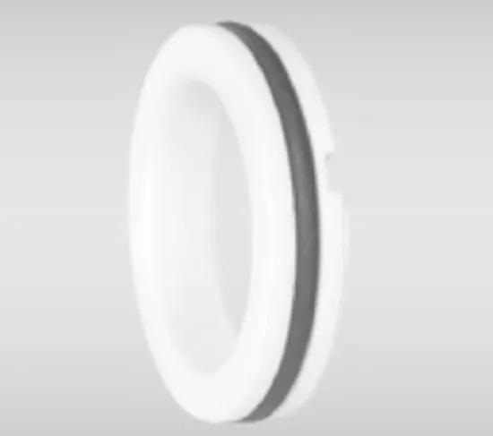 WG T20 Stationary Seat Series for Pumps