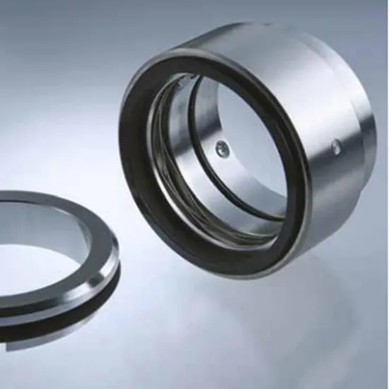 32-HJ92N Mechanical Seals for Pumps Pusher Seals