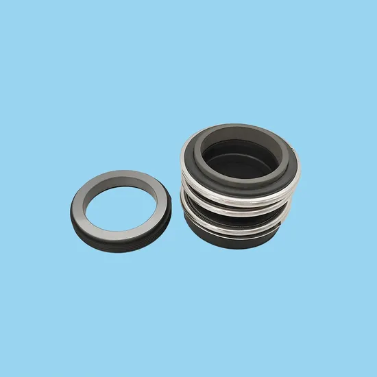 Reliable Bergmann MG12 Pump Mechanical Seals for All King of Pump