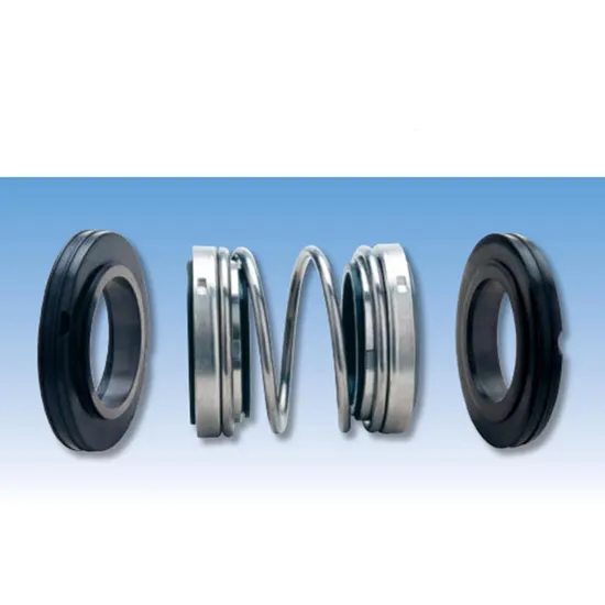 81TS PB11 Elastomer Bellow Mechanical Seals for Pumps