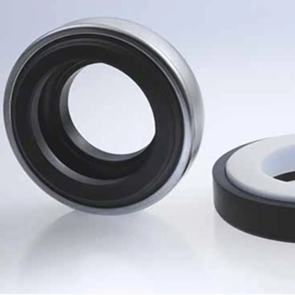 66 BT-AR Mechanical Seals for Pumps Pusher Seals