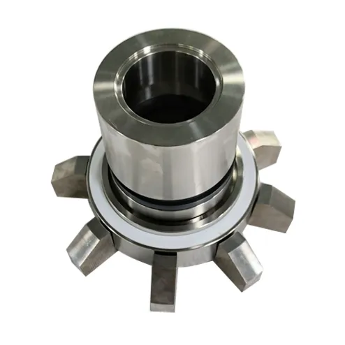 TS 51-DFS Mechanical Seal