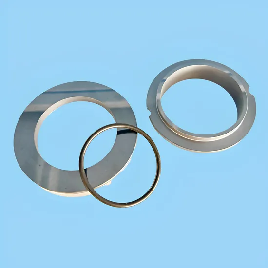High Temperature and Corrosion Resistant Mechanical Seal FR-24 Suit for Pump SIC/TC/VIT