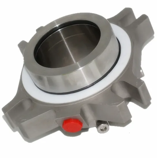 TS 51-SN Mechanical Seal
