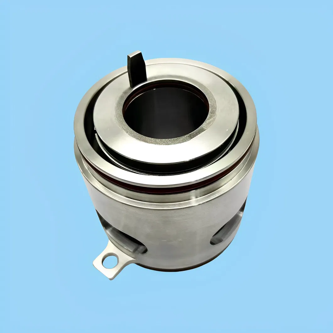 Cartridge Mechanical Seal Shaft Seals for Pump GLF-32X SEV.80.100.110.2.51DSEV 30.100.4.50D