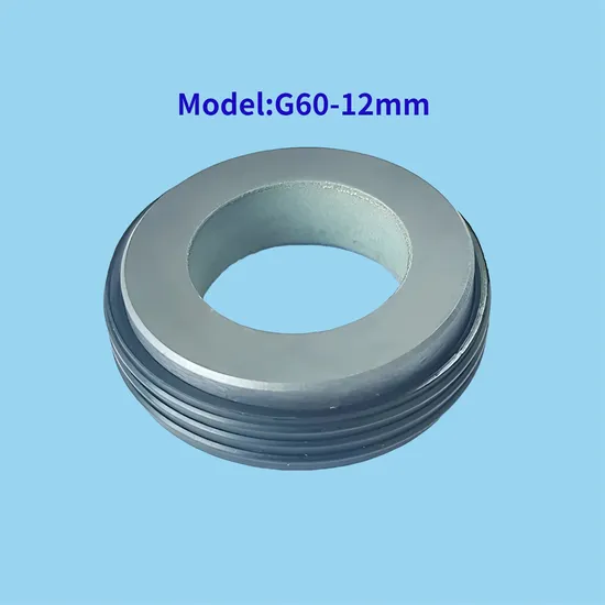 Rotary Pumps ZB-55 Mechanical Seal for Rotor Pump, 55mm TC/TC/VIT