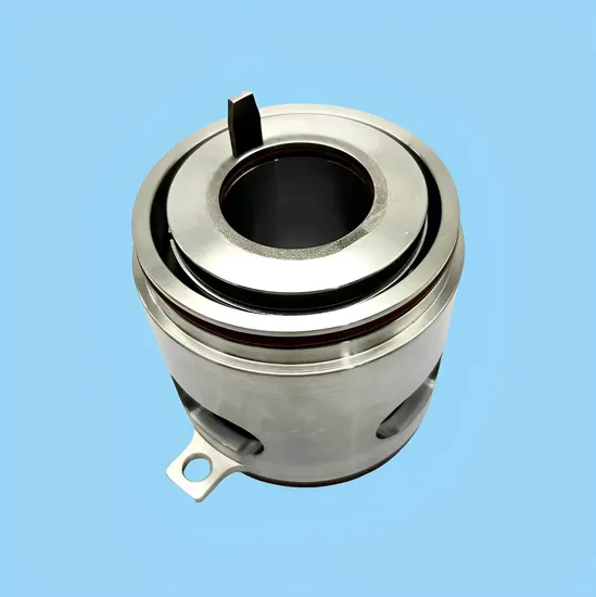 Cartridge Mechanical Seal Shaft Seals for Pump GLF-32X SEV.80.100.110.2.51D