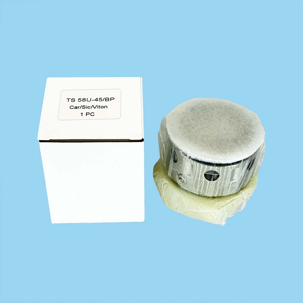 TS 58U PTFE Unbalanced Mechanical Seals for Chemical Pump Seals
