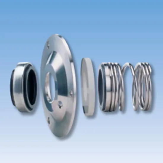 116TS PS01 Mechanical Seals for Sanitary Pumps