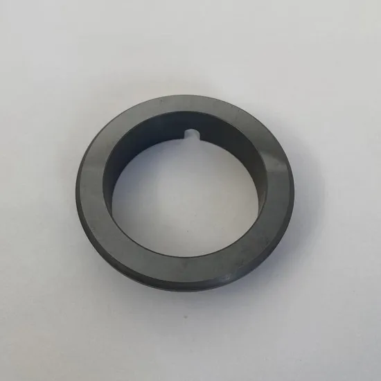 Stationary Ring G16 Seals Ring  SIC Ring  Carbon Ring  for  All Kinds of  Mechanical  Seals