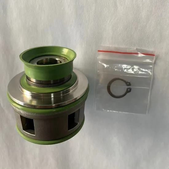 FS Mechanical Seals for Chemical Pumps