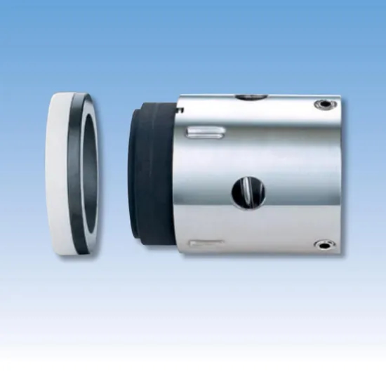 100TS PQ08 PTFE Wedge Mechanical Seals for Pumps