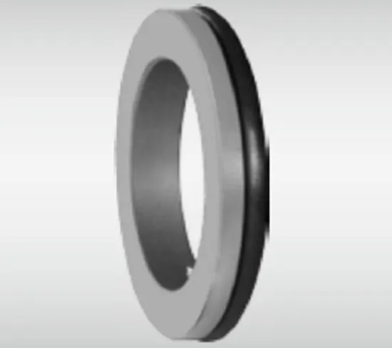 WG BS Stationary Seat Series for Pumps