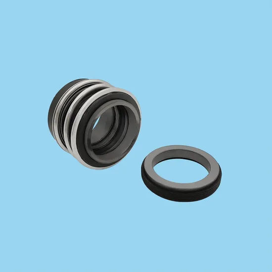 Reliable Bergmann MG12 Pump Mechanical Seals for All King of Pump