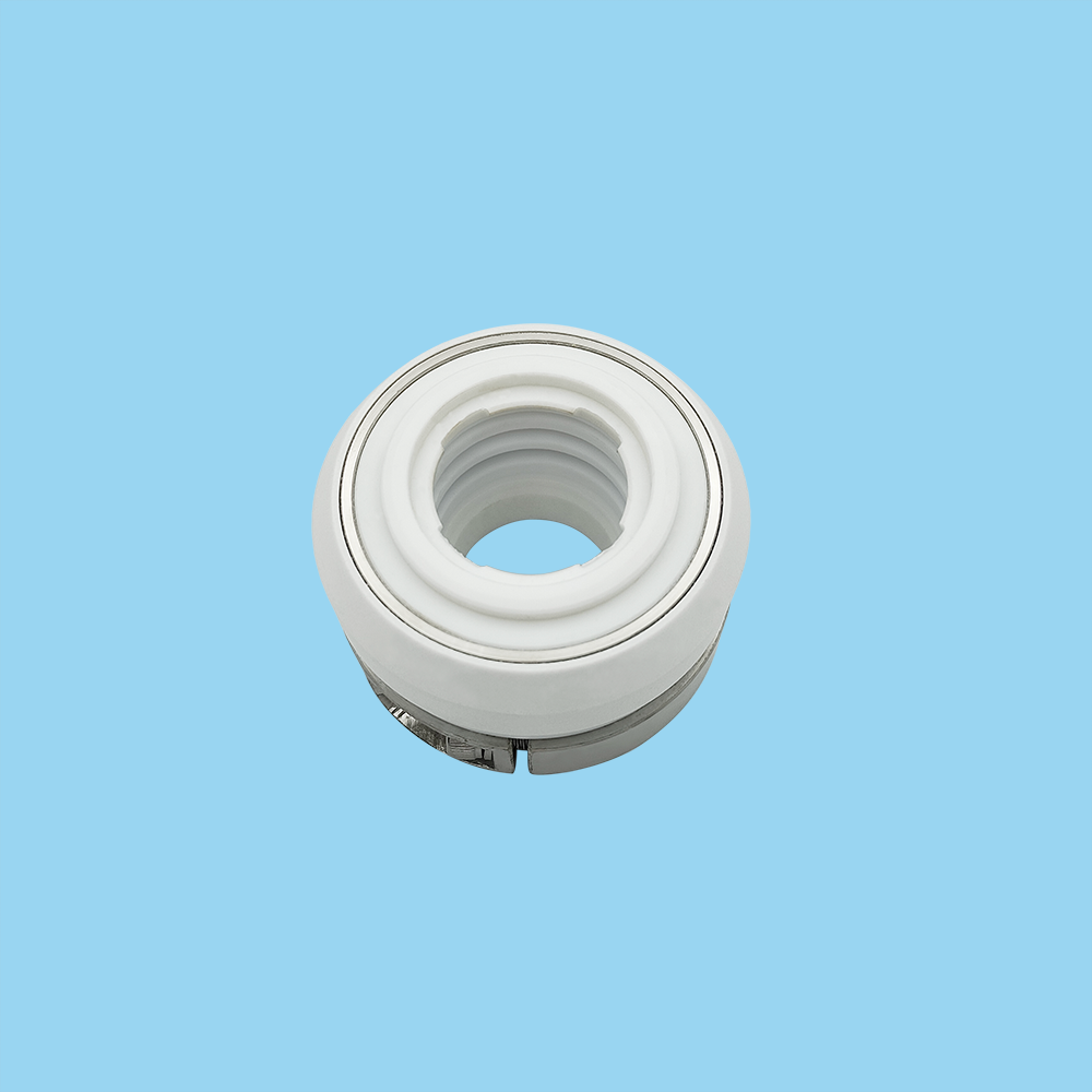 TS 10T Mechanical Seals for Pumps Pusher Seals