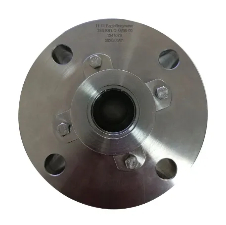 TS  8B1D-38 Mechanical Seal