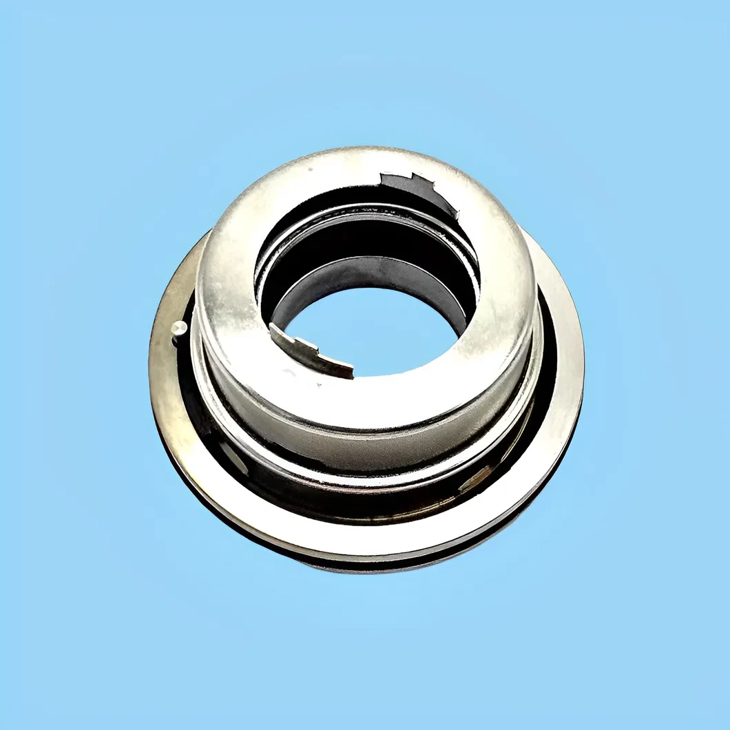 Big Brand Blackmer BM 45mm Mechanical Seal 335224 335125 332050 for Water/oil Pump