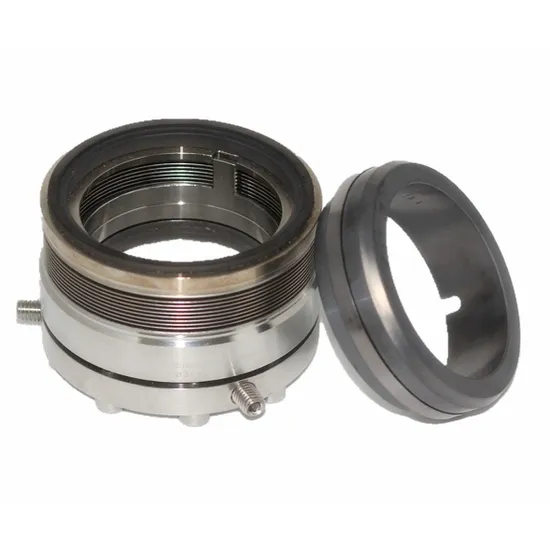 TS DBM Mechanical Seal