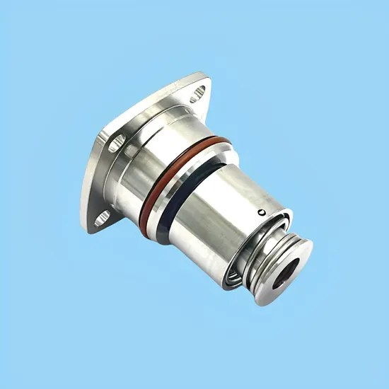 High Quality Mechanical Seal for Water Pump Ebara EVMS EVMSG Series Pumps SIC/SIC/V/SS304