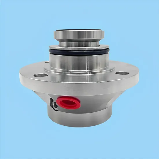 Slurry Seals D496681 87107745 SE2-AP-60-QREQ-305145 Se2-Ap-60 Cartridge Safematic Mechanical Seal for Sulzer APP Flow Pump