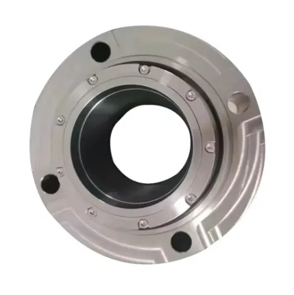 TS BX  Mechanical Seal