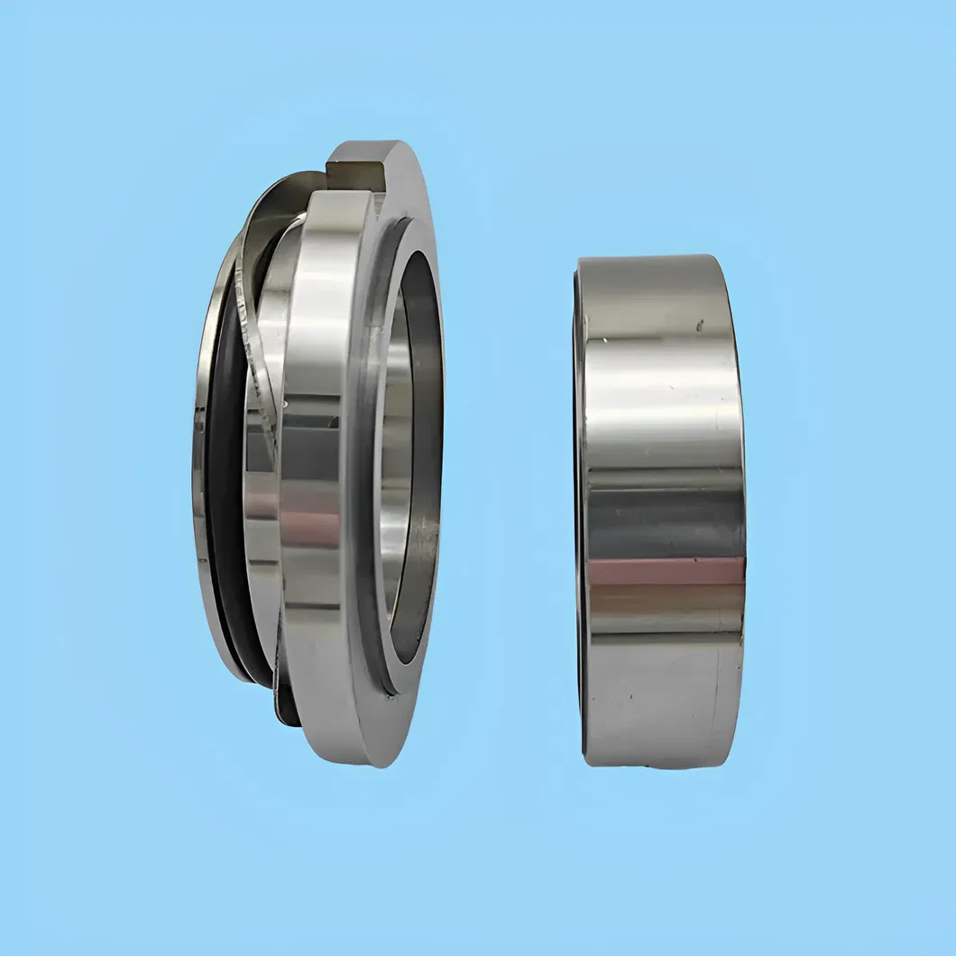 Rotary Pumps ZB-55 Mechanical Seal for Rotor Pump, 55mm TC/TC/VIT