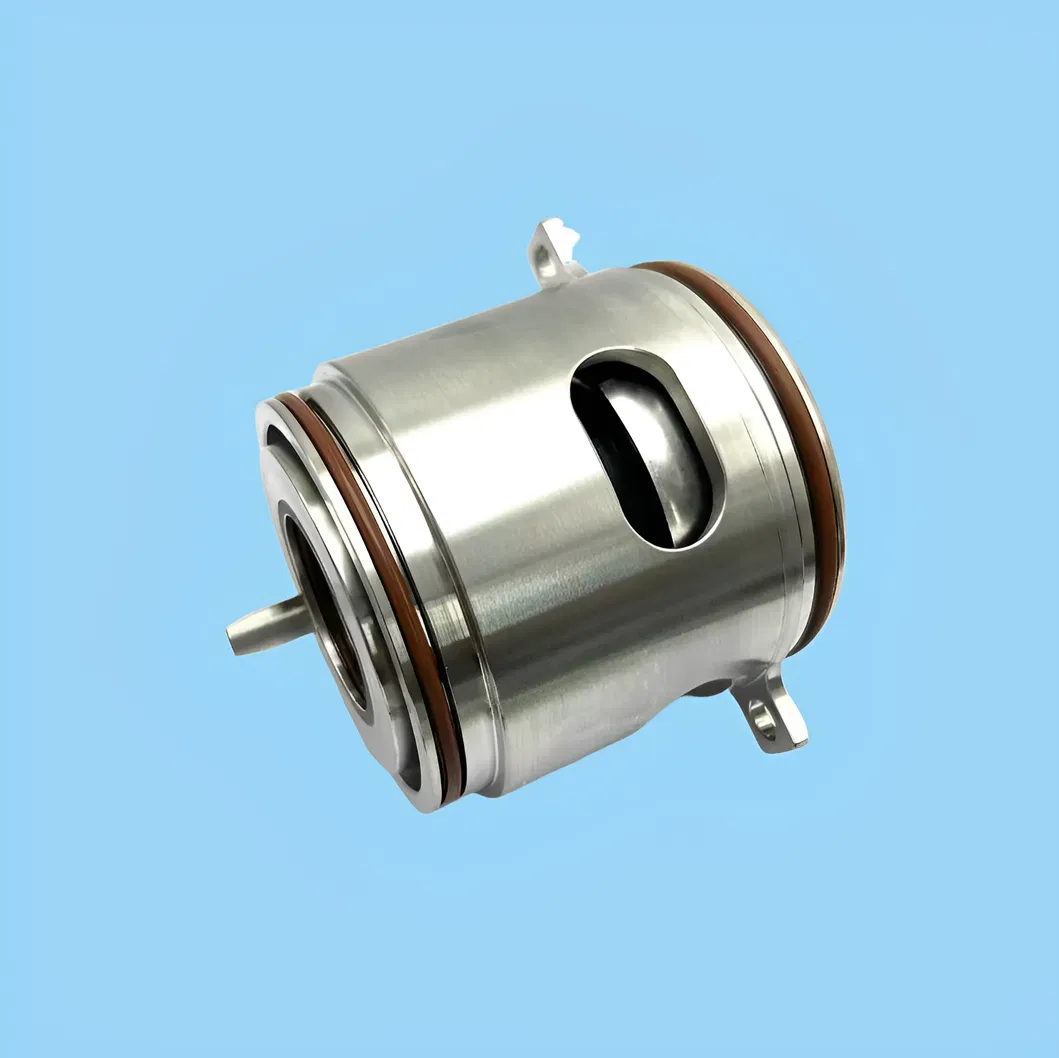 Cartridge Mechanical Seal Shaft Seals for Pump GLF-32X SEV.80.100.110.2.51DSEV 30.100.4.50D