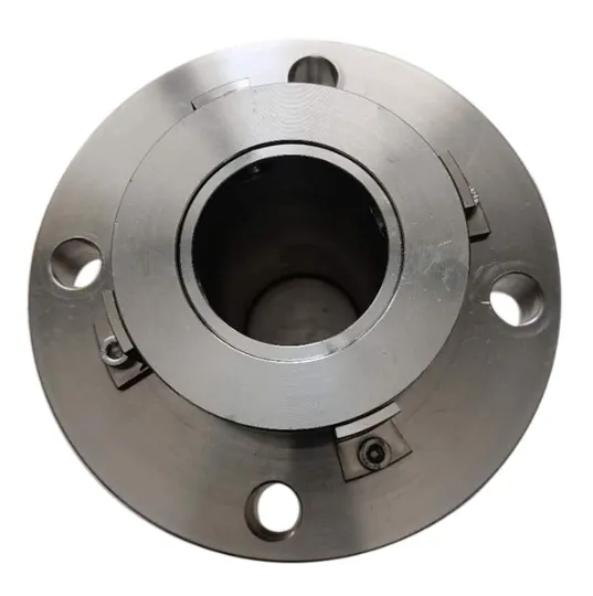 TS 51-S17F Mechanical Seal