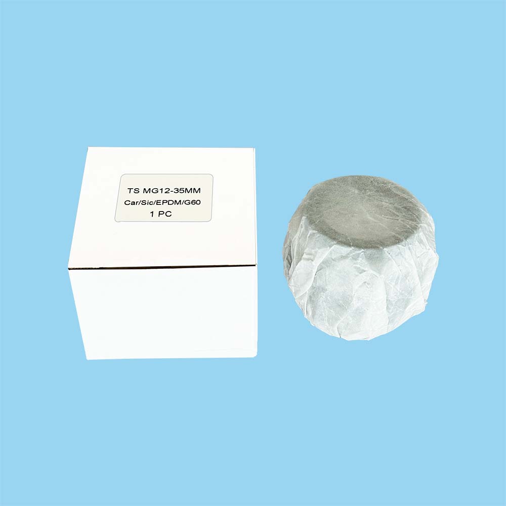 Reliable Bergmann MG12 Pump Mechanical Seals for All King of Pump