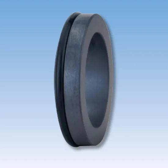 29TS C15 Mechanical Seals Seat Series for Pumps