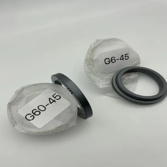 Stationary Ring G6  Seals Ring  SIC Ring  Carbon Ring  for  All Kinds of  Mechanical  Seals