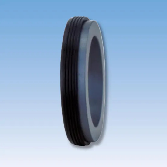 38TS L02 Mechanical Seals Seat Series for Pumps
