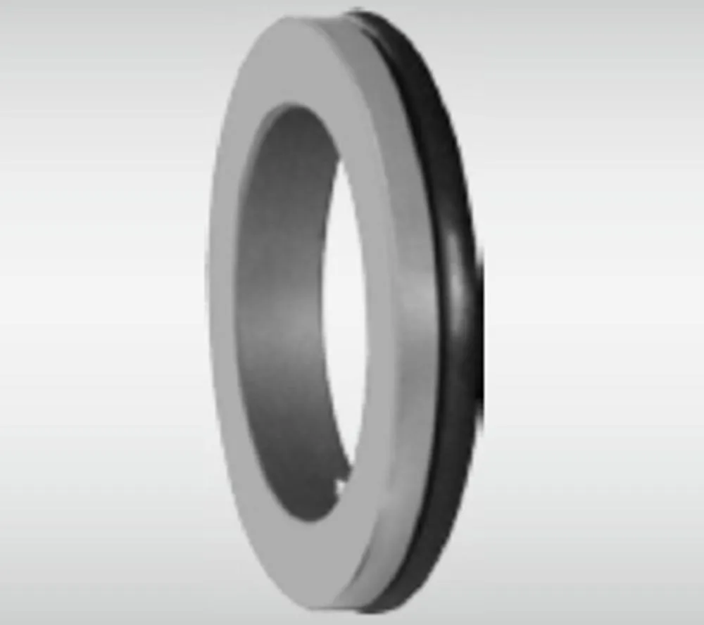 WG BS Stationary Seat Series for Pumps