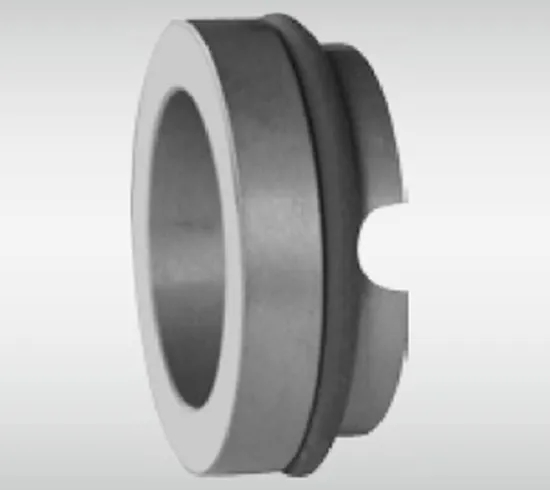 WG BP Stationary Seat Series for Pumps