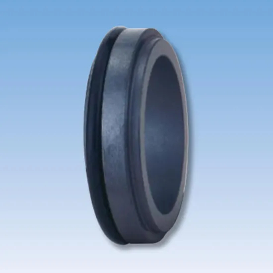21TS C05 Mechanical Seals Seat Series for Pumps